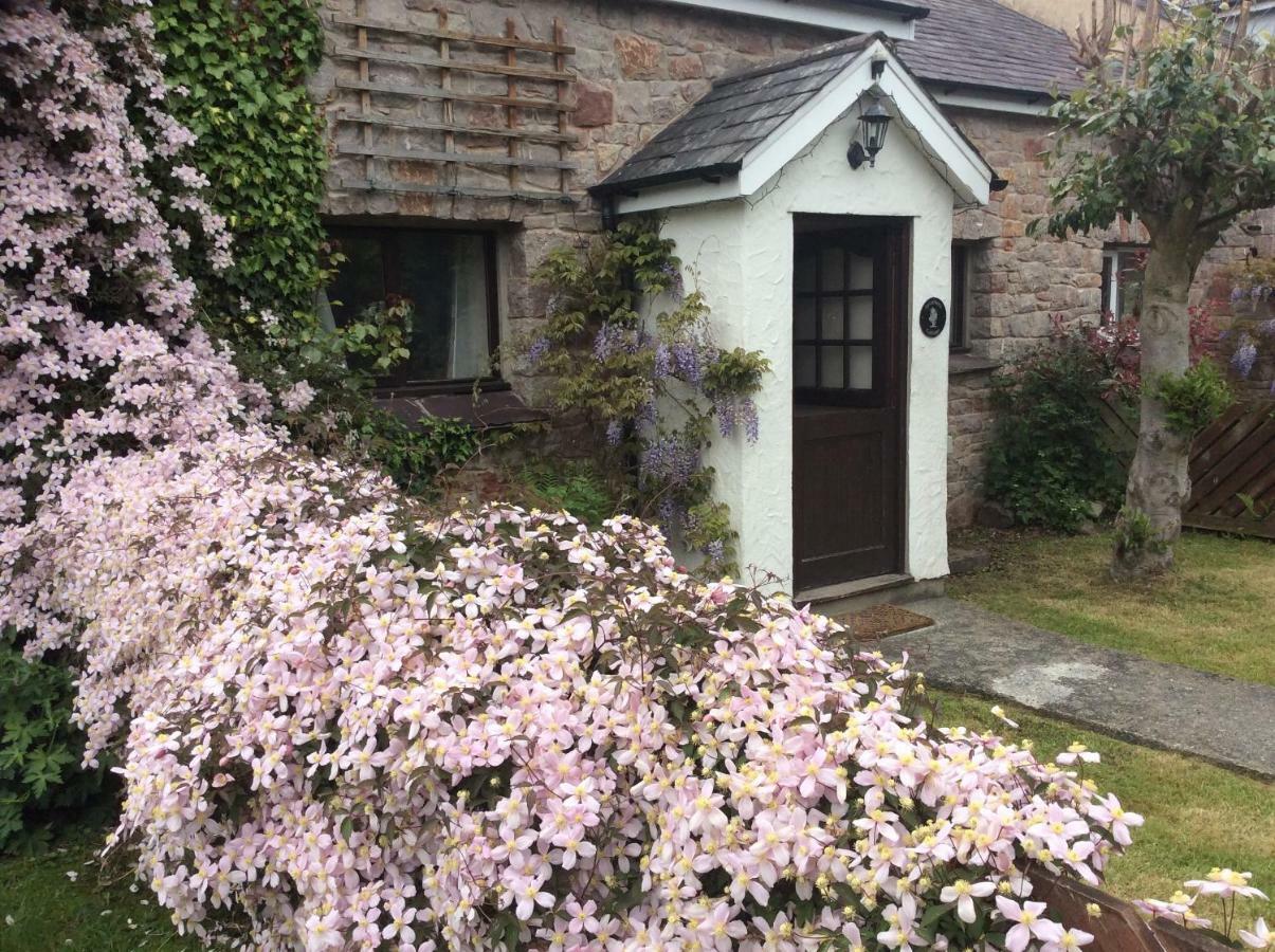 Sycamore Cottage Conwy Esterno foto